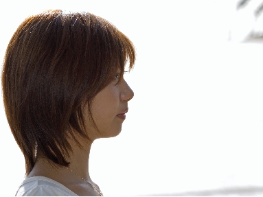 在留許可帰化ビザ入管